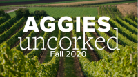 fall 20
