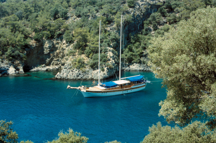 sail boat harbor