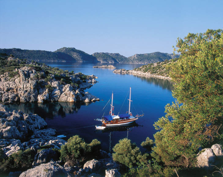 turkey