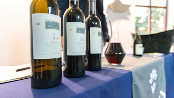 Aggies Uncorked three wine bottles