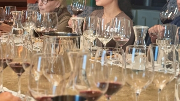 A group of people seated at a table, sampling various wines from numerous glasses.