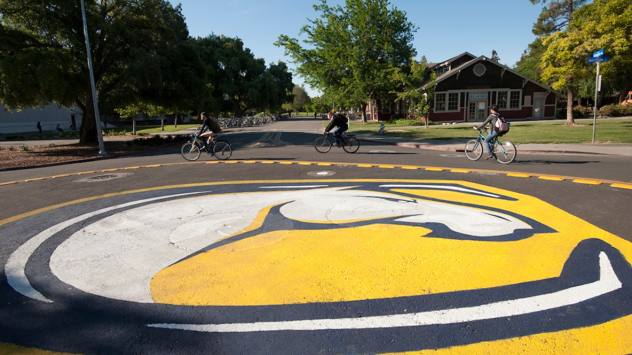 Bike Circle at UC Davis