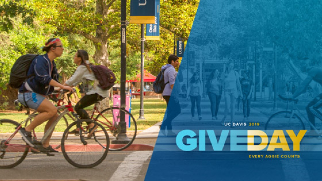 Give Day 2019