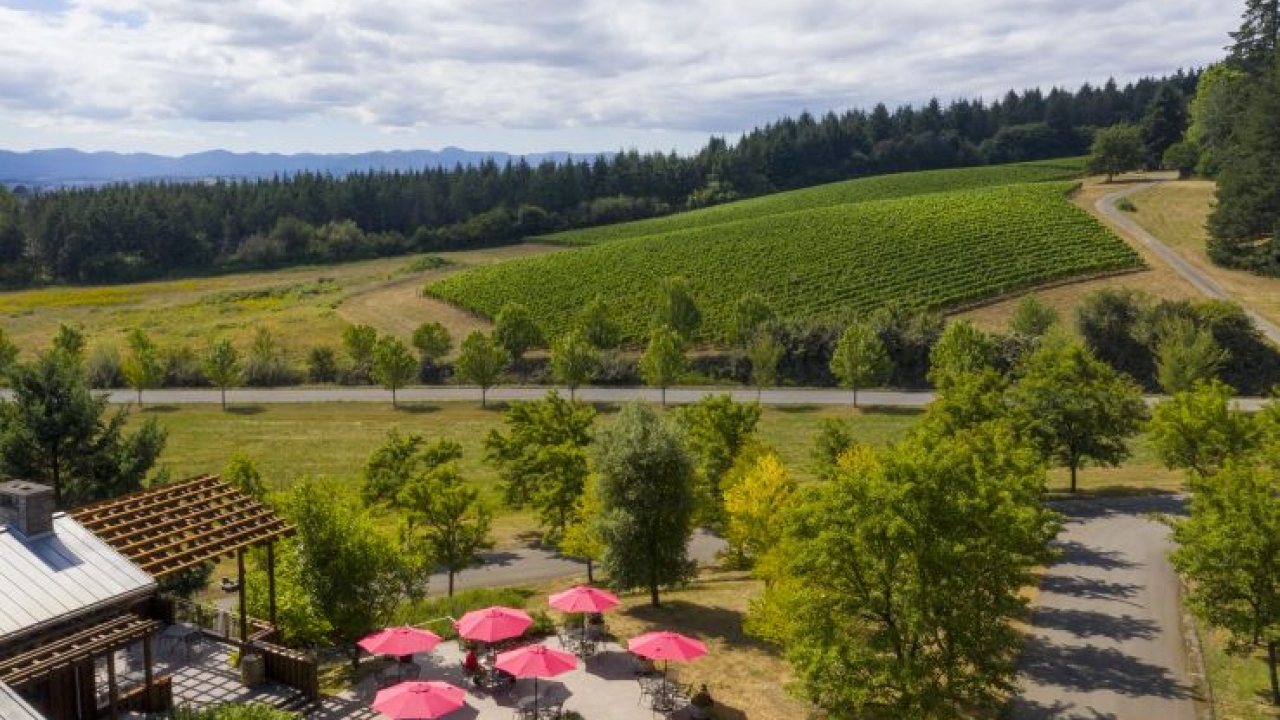 Overhead view of Lemelson Vineyards patio area with red umbrellas open with vineyards in the background