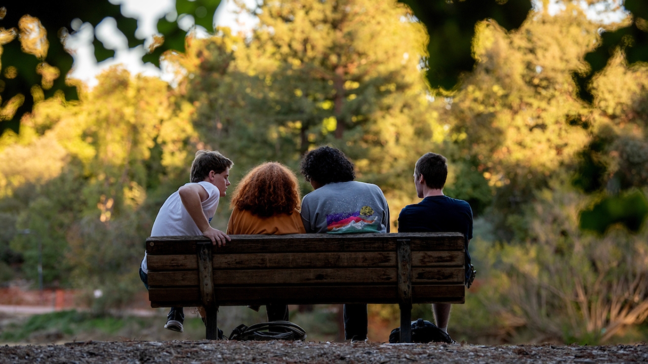 people sitting on a bench