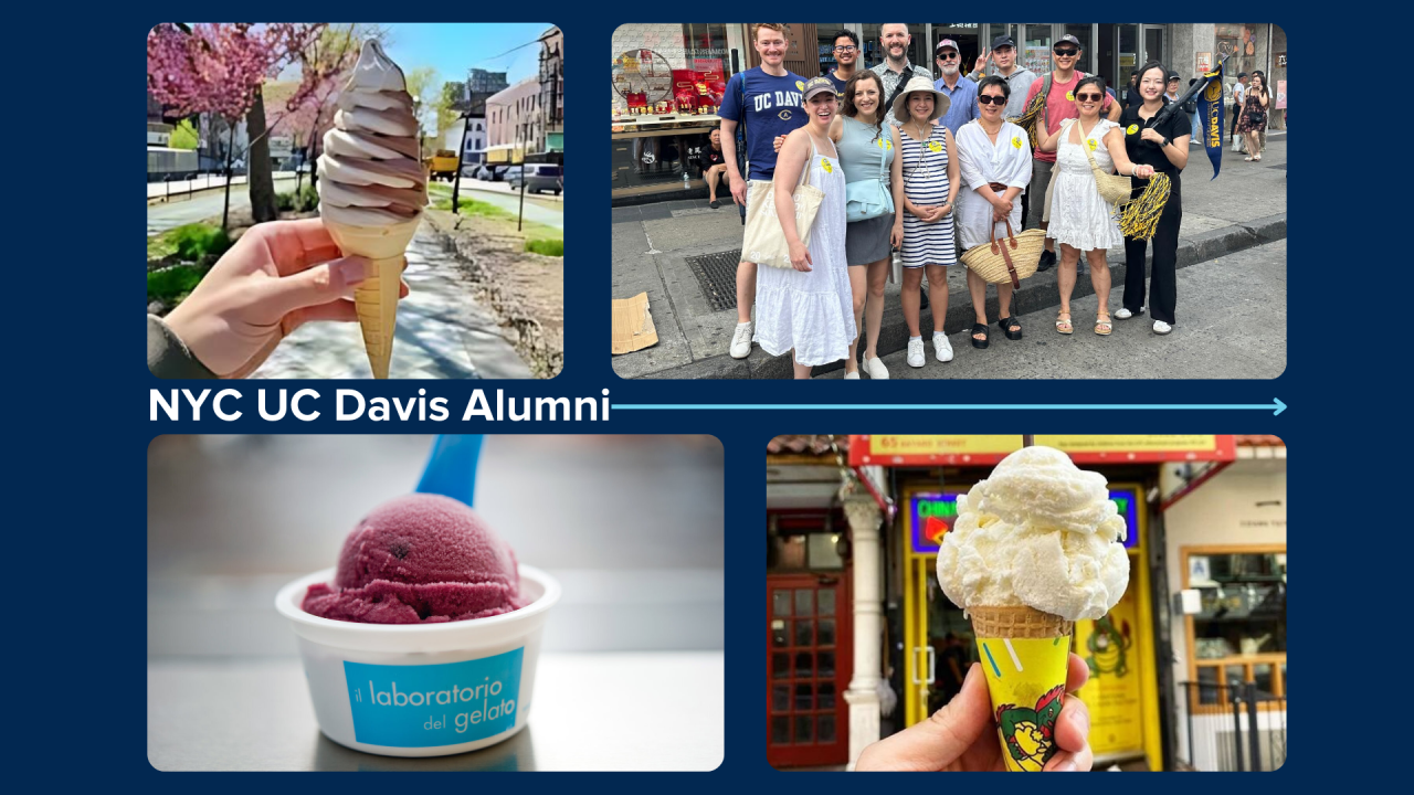 NYC alumni and ice cream photos