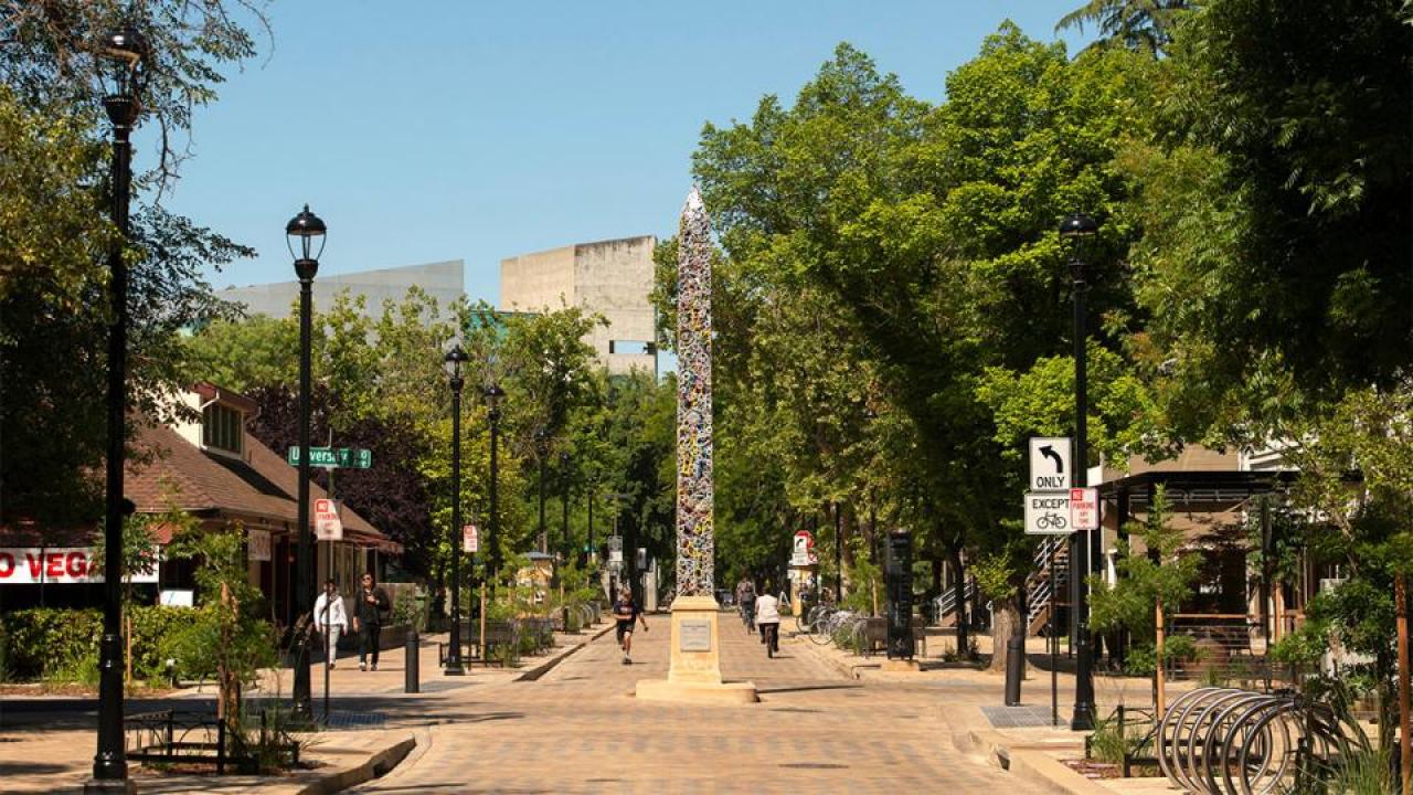 Pathway to businesses in Davis