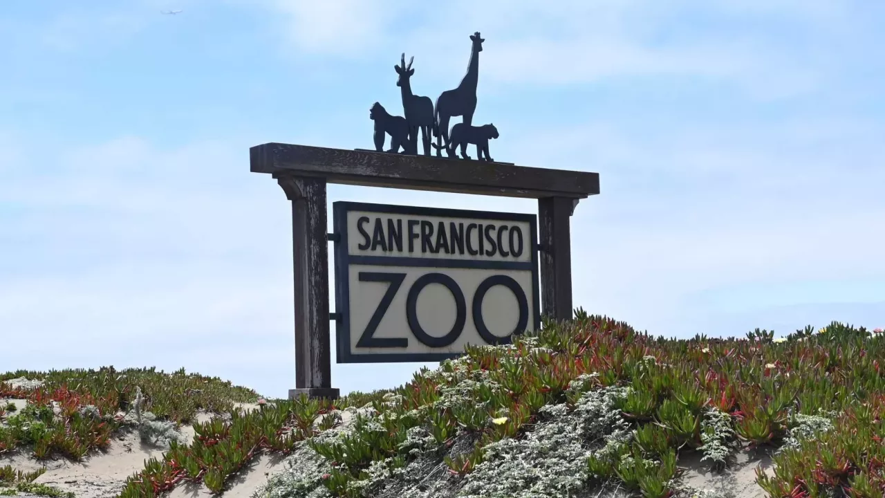 San Francisco Zoo Sign