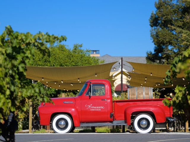 Red vintage pickup parked under tan canopy amid green vines and trees