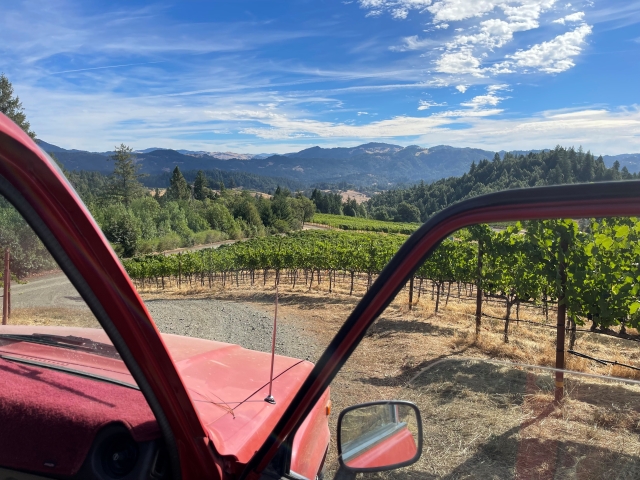 Open red car doors framing vineyard rows, rolling hills and blue sky