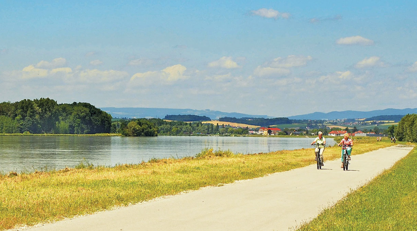 rhine