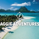 Beaches of French Polynesia
