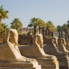 egypt
