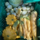 vegetables
