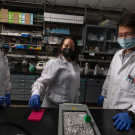 Students in lab coats standing at a lab bench