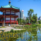 Ueno Park Photo with the UC Davis Japan Network Logo