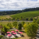 Overhead view of Lemelson Vineyards patio area with red umbrellas open with vineyards in the background