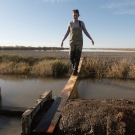 A woman is walking across a wooden plank over a field
