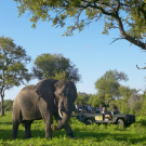 africa