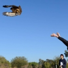 Raptor center release