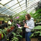 photo of inside the botanical conservatory, plants on the right and left sides with a person in the middle looking down at the plants